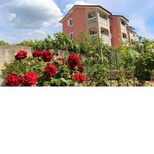 Apartments Jela
