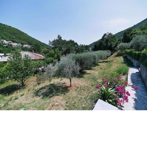 Apartments Jolanda
