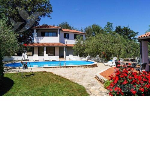 Apartments Jurcan
