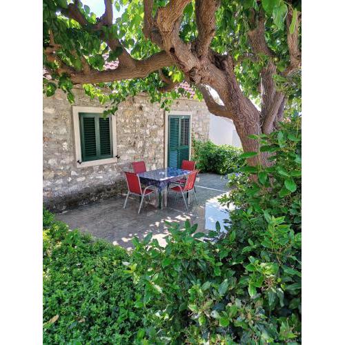 Apartments Kokotic