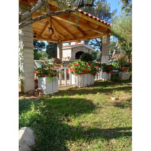 Apartments Makaus