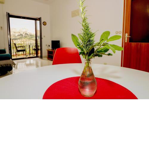 Apartments Nasic with Beautiful Sea View