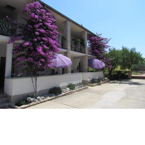 Apartments Pipi