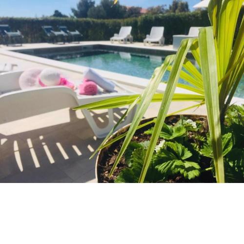 Apartments Pool
