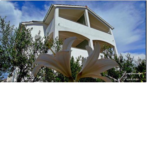 Apartments Purkovic