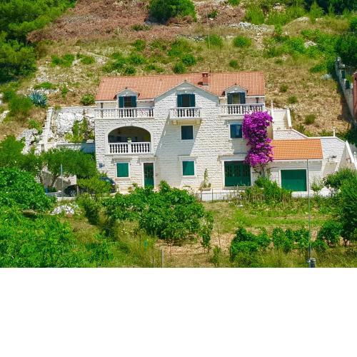 Apartments Renata