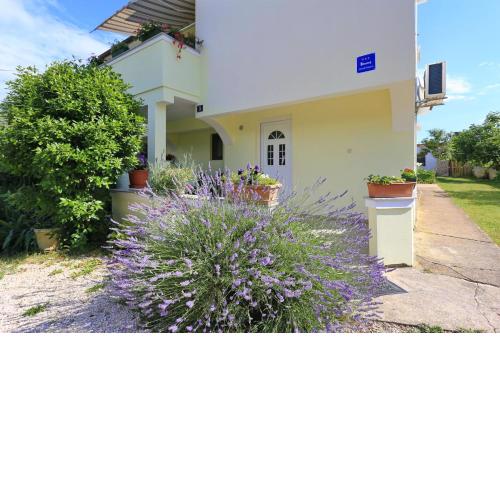 Apartments Romansa