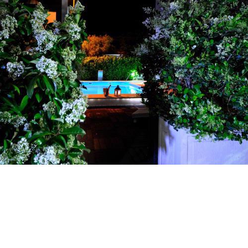 Apartments & Rooms Villa Maslina
