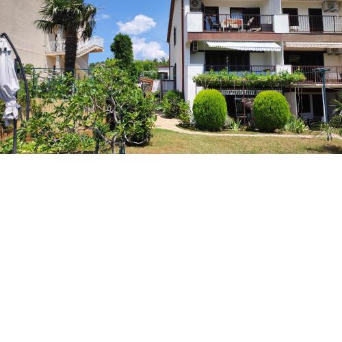 Apartments Svjeta
