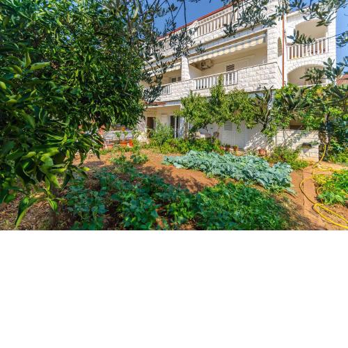 Apartments Tily