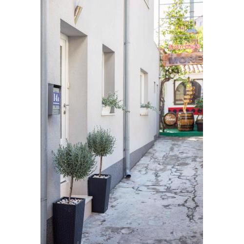 Apartments Tonka Centar