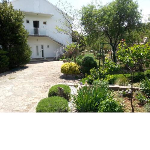 Apartments Vlade