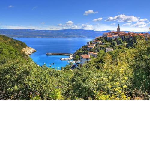 Apartments Vrbnik (879)