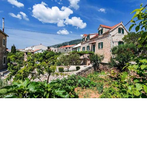 Apartments with a parking space Bol, Brac - 20178