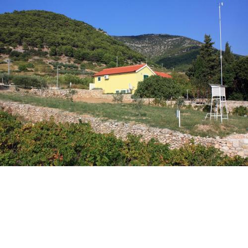 Apartments with a parking space Bol, Brac - 5642