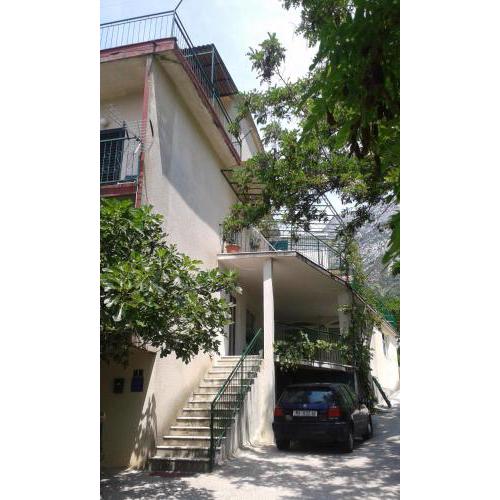 Apartments with a parking space Gradac, Makarska - 13196