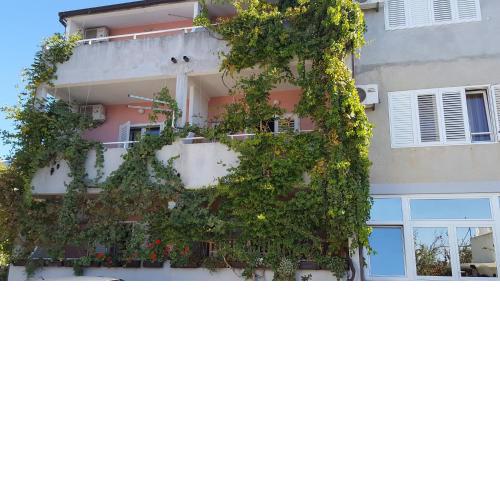 Apartments with a parking space Podgora, Makarska - 16591