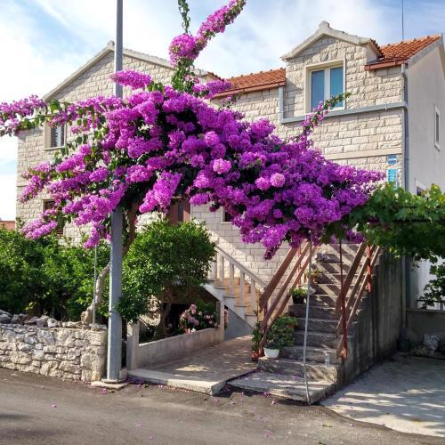 Apartments with a parking space Supetar, Brac - 14720