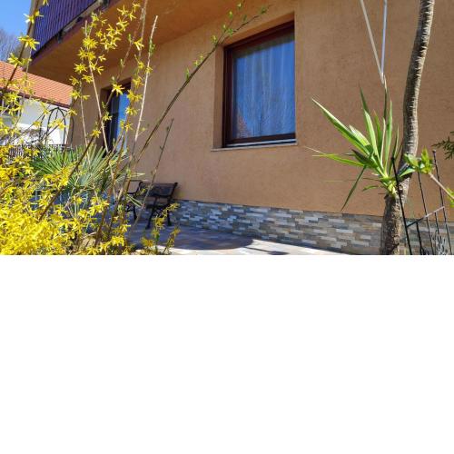 Apartments with a parking space Veljun, Karlovac - 16907