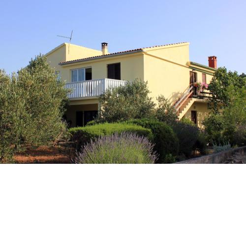 Apartments with a parking space Zaglav, Dugi otok - 878