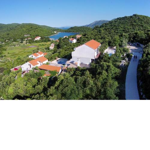 Apartments with a swimming pool Zrnovska Banja, Korcula - 8335