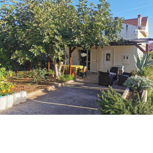 Apartments with WiFi Preko, Ugljan - 16168