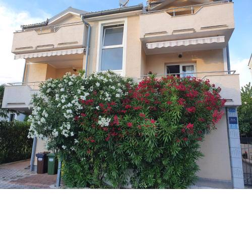 Apartments Zoretic