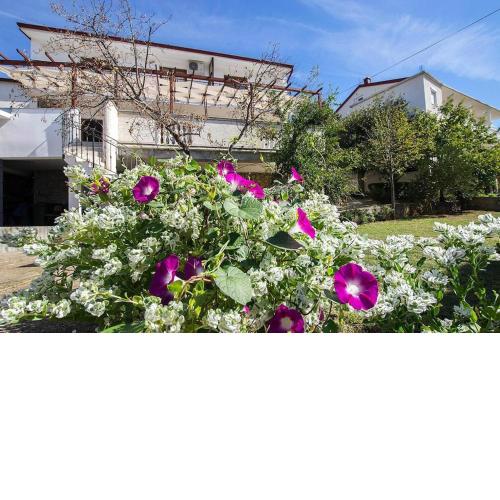 Apartments Zrinka in Starigrad Paklenica with terrace and seaview