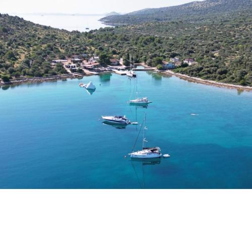 Beach resort BAIN - house Sofia, free transport, pool, bbq, breakfast, restaurant, Island of Žut - Kornati