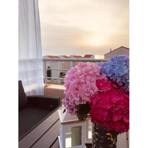 Beautiful vacation apartments in Novalja Ivana - Ana - Danijel