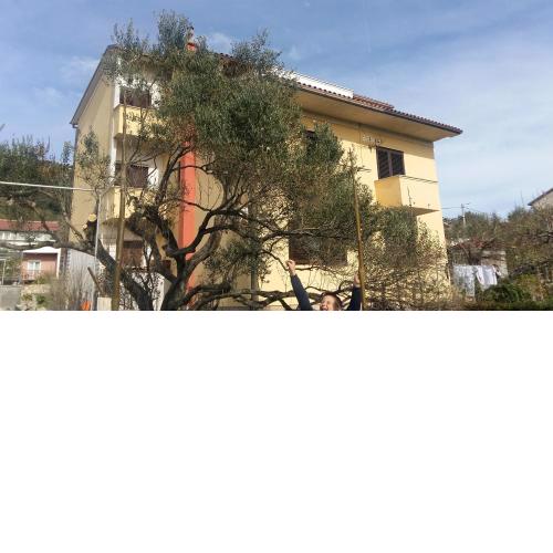 Begovi Dvori