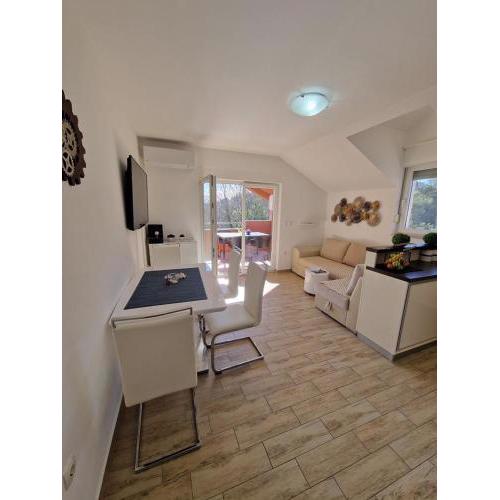 Blue stars apartment