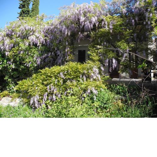 Bungalow "Domicil MIRO"