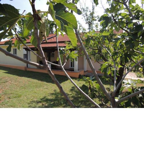 Bungalow-Lavanda-1