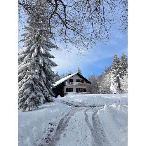 Chalet Mint