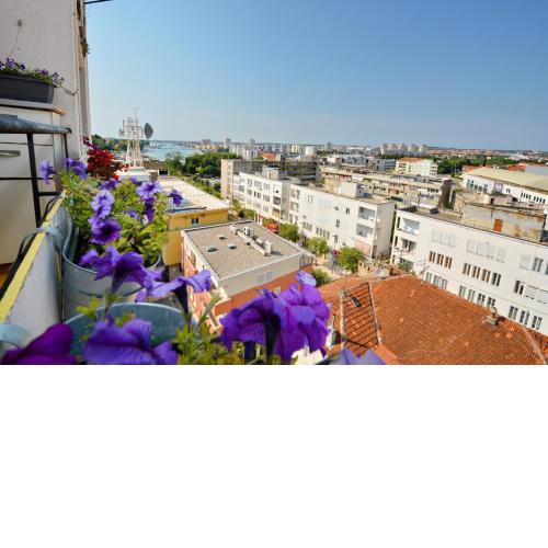 Charming Apartment N - Experience Zadar your way