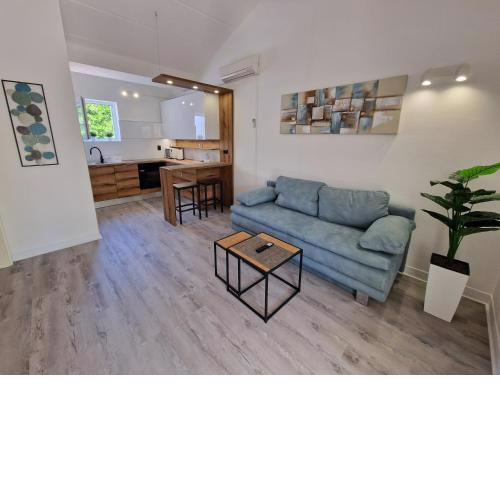 Cozy apartment near beach in Gajac