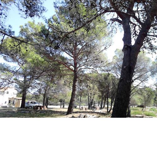 Eco Secluded apartments Zabodarski