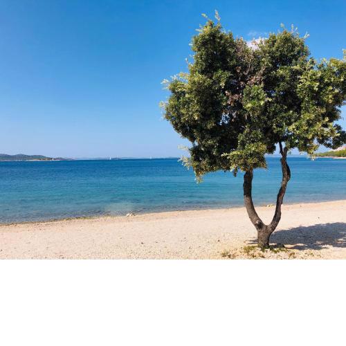 Ecobeachvilla Buqez 9