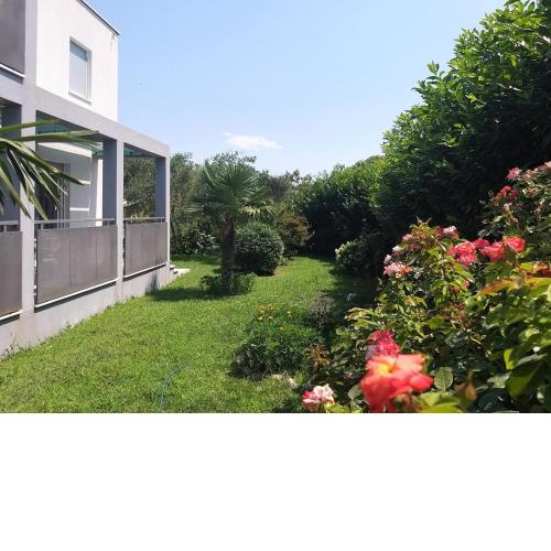 Enelani Apartments