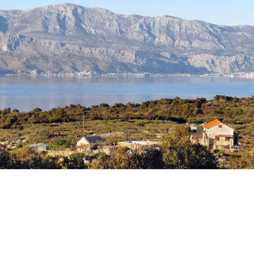 Family friendly house with a swimming pool Skrip, Brac - 15297