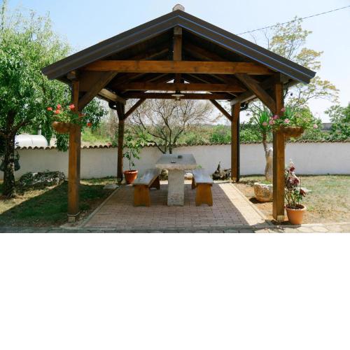 Forest Retreat
