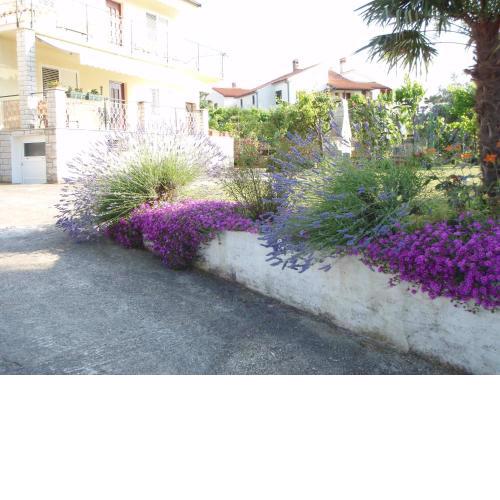 Guest House Jasmin