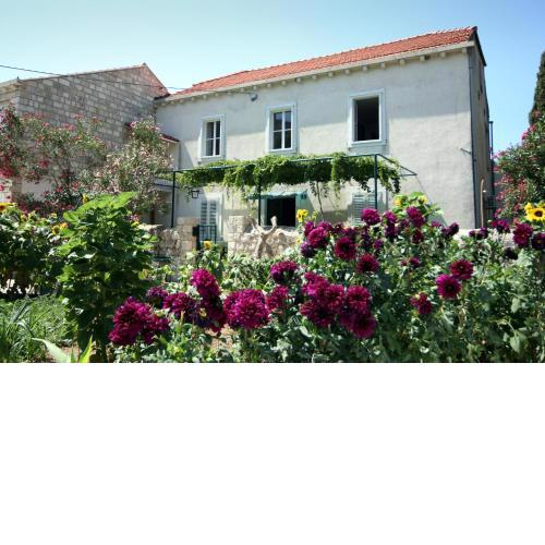 Guest House Katica