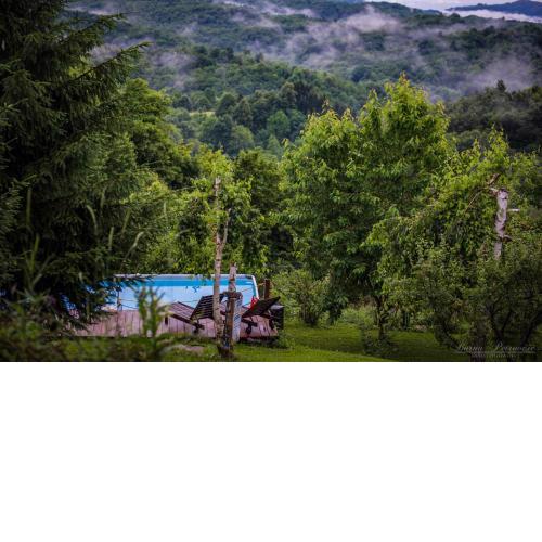Guest House Lagotto's Peak