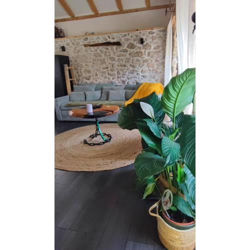 Guest house Mića