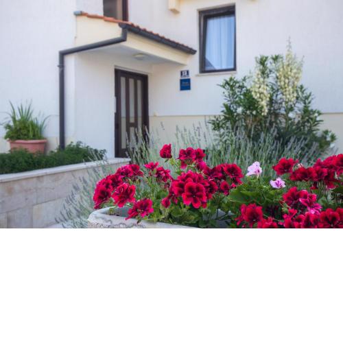 Guesthouse Nihada