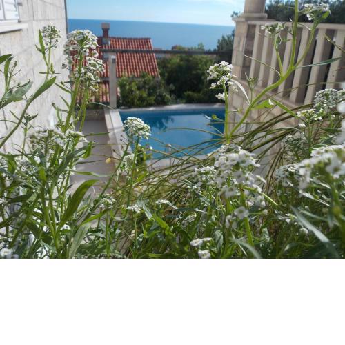 Guesthouse Villa Klaic