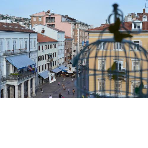 Heart of the city app