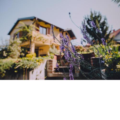 Holiday Home Castanea